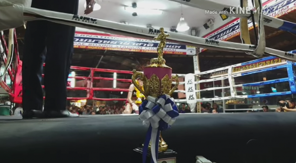 Watch a Thai boxing match at Chiang Mai Thapae Boxing Stadium.